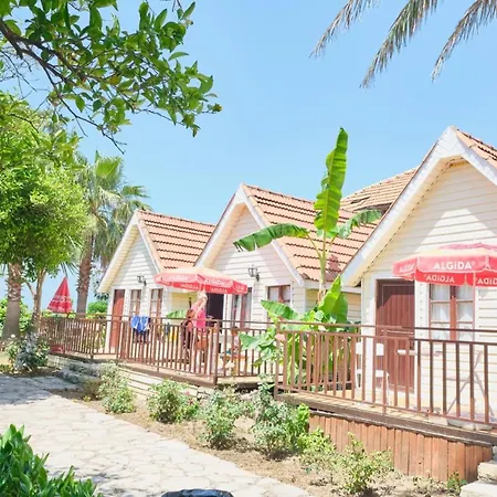 Otel Clover Magic Nova Side