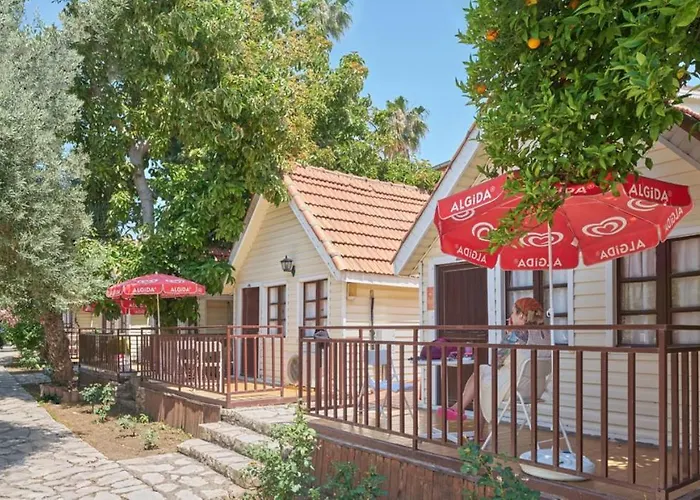 Clover Magic Nova Side