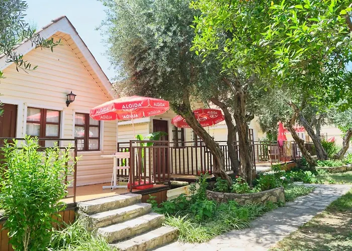 Clover Magic Nova Hotel Side