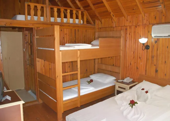 Hotel Clover Magic Nova *