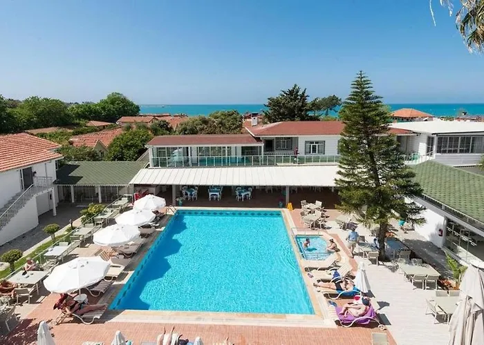 Clover Magic Nova * Side