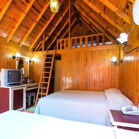 Clover Magic Nova * Side