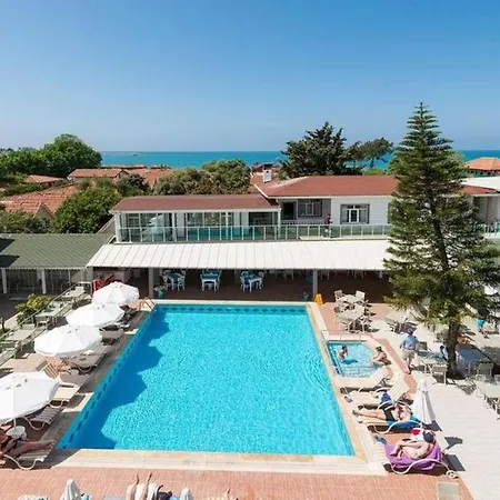 Clover Magic Nova * Side