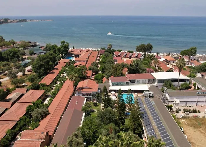 Clover Magic Nova Σιντέ