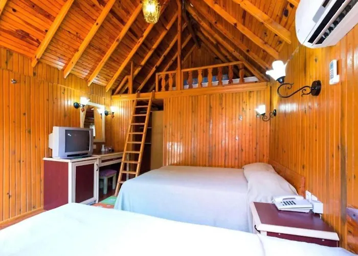 Clover Magic Nova * Σιντέ