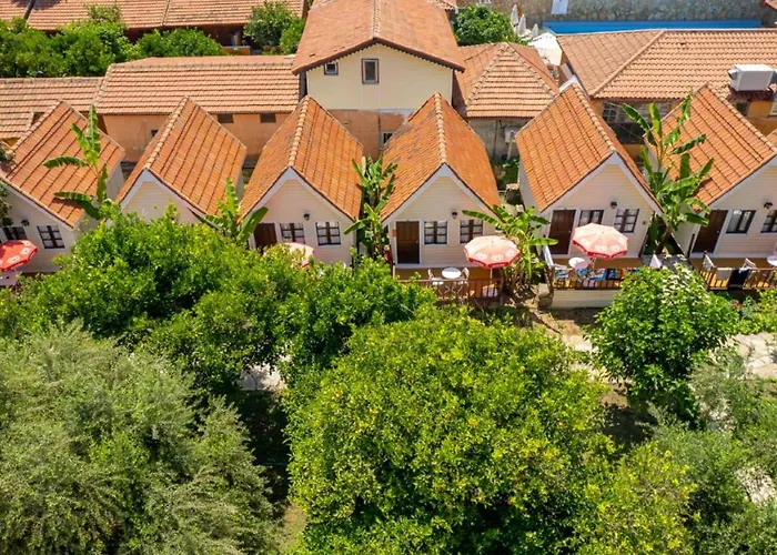 Clover Magic Nova Ξενοδοχείο