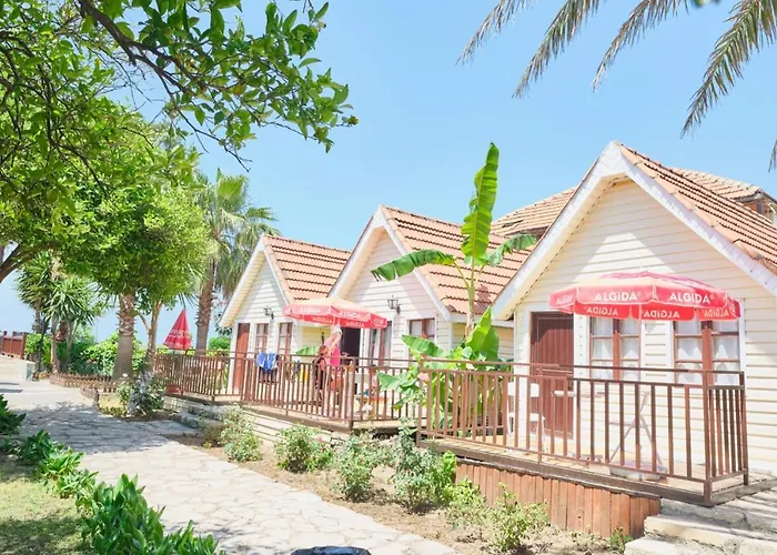 Ξενοδοχείο Clover Magic Nova Σιντέ